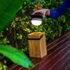 okinawa_lantern_light_kit